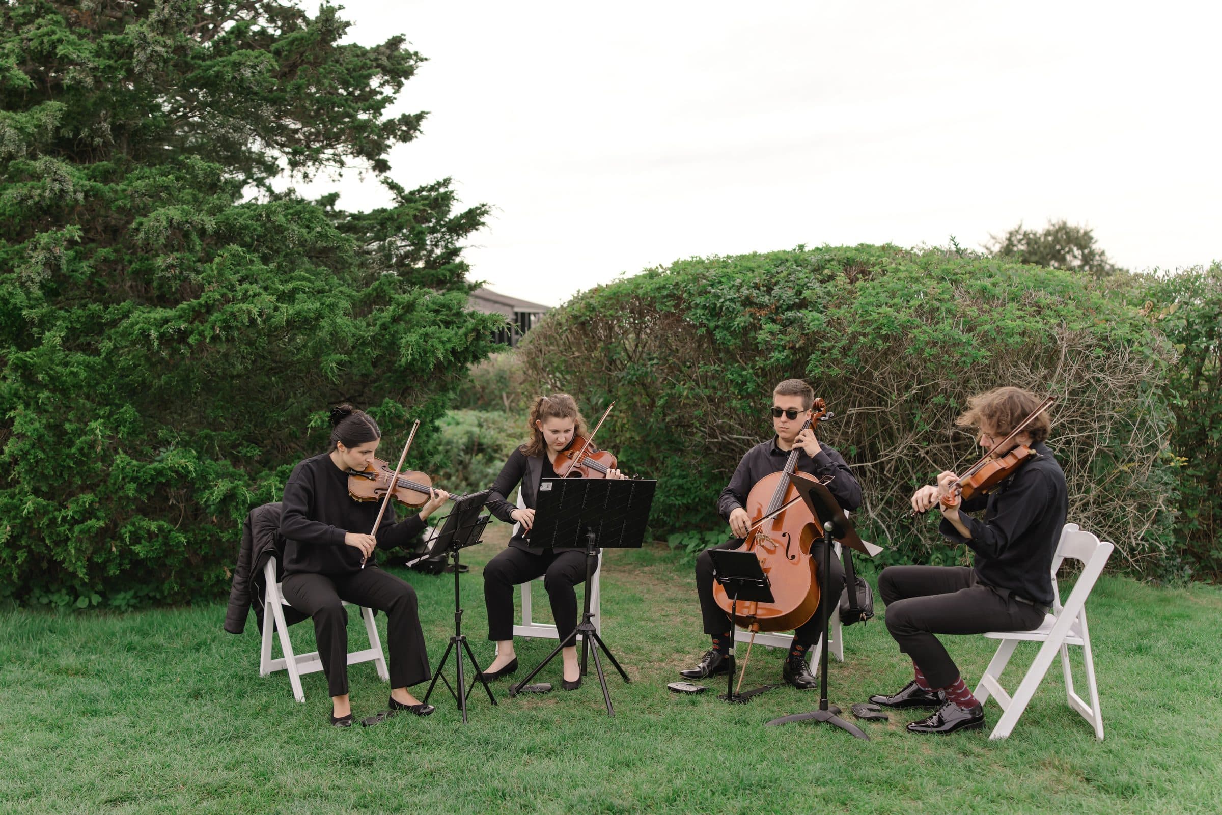 The quartet playing on a lawn at dusk, framed by hedges and a soft sky